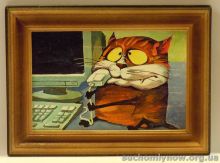 cats