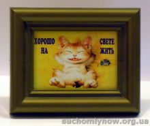 cats