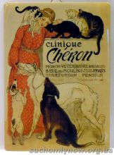 cats