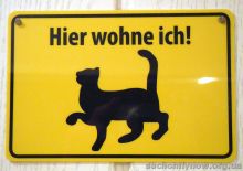 cats